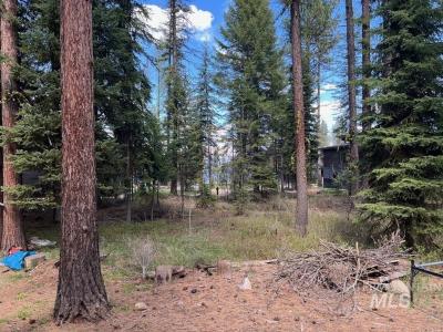 329 Forest St., McCall, Idaho 83638, Estados Unidos