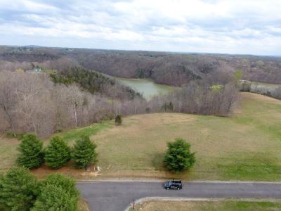 Lot 42 Parks Ridge, Russell Springs, Kentucky 42642, Amerika Birleşik Devletleri