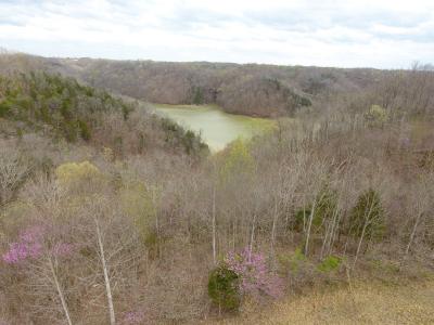Lot 42 Parks Ridge, Russell Springs, Kentucky 42642, Amerika Birleşik Devletleri