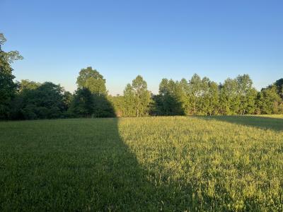 Lot 42 Parks Ridge, Russell Springs, Kentucky 42642, Amerika Birleşik Devletleri