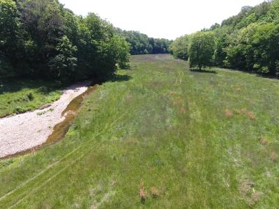 61 Acres JW Harris Road, Russell Springs, Kentucky 42642, Amerika Birleşik Devletleri