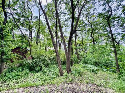 26628 S Kimberly Lane, Channahon, Illinois 60410, États-Unis