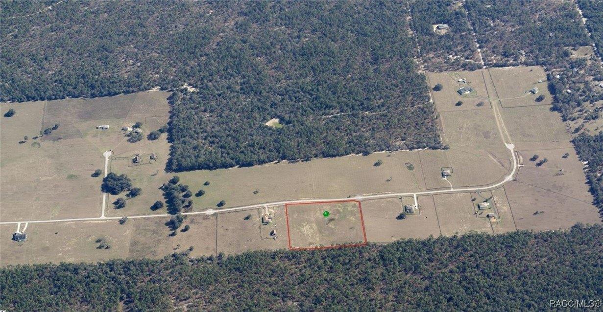 11230 S Brightstar Avenue, Floral City, Florida 34436