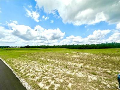 11230 S Brightstar Avenue, Floral City, Florida 34436