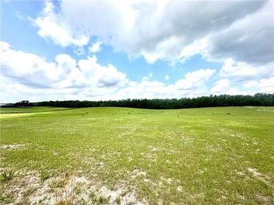 11230 S Brightstar Avenue, Floral City, Florida 34436