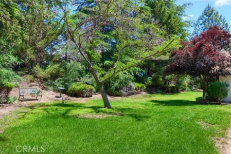 42177 Lone Olive Lane, Ahwahnee, Califórnia 93601, Estados Unidos