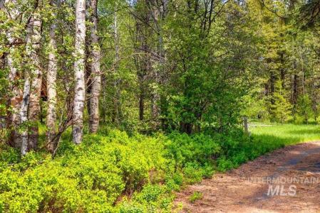 Lot 2 Comfort Ct., McCall, Idaho 83638, Estados Unidos