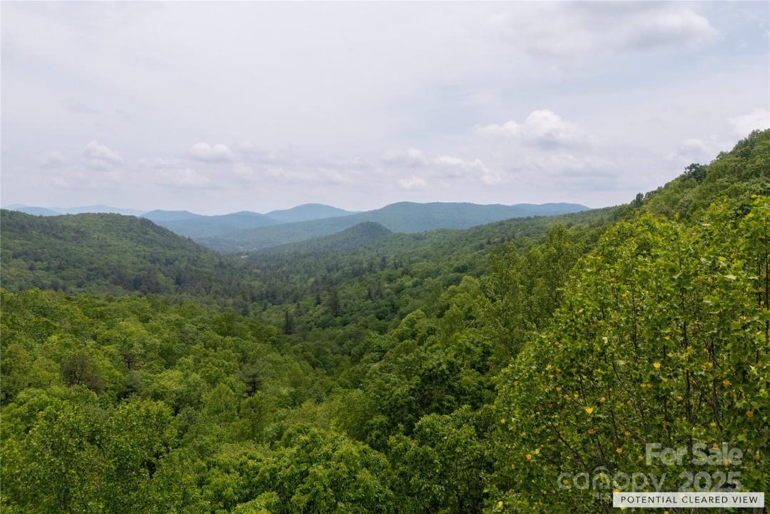 000 Boone Top, Zirconia, North Carolina 28790