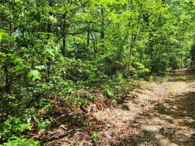 000 Boone Top, Zirconia, North Carolina 28790