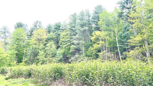 33 E Maine Road, Johnson City, New York 13790, Amerika Birleşik Devletleri