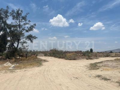 AV. CONCEPCION 5800,, Tlajomulco De Zúñiga, Jalisco 45655, Mexico
