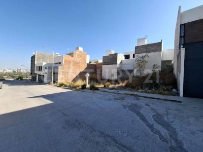 ALBERO FUERTE VENTURA ,, Mexquitic De Carmona, Сан-Луис-Потоси 78470, Мексика