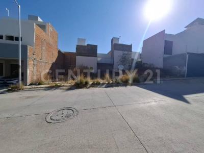ALBERO FUERTE VENTURA ,, Mexquitic De Carmona, סן לואיס פוטוסי 78470, מקסיקו