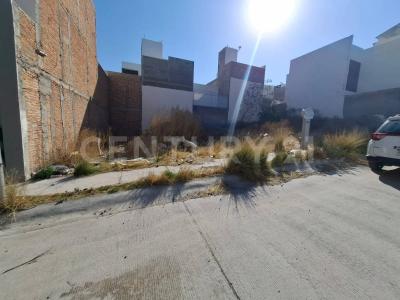 ALBERO FUERTE VENTURA ,, Mexquitic De Carmona, סן לואיס פוטוסי 78470, מקסיקו