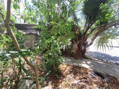 Solidaridad / Riviera Maya, Quintana Roo 77710, México