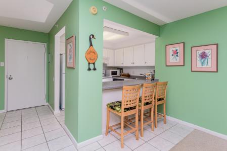 206 Braemar 13110 Coastal Highway, Ocean City, メリーランド 21842, アメリカ合衆国