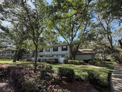 6206 Dewdrop Way, Temple Terrace, Florida 33617, USA