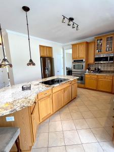 11 Gallant Fox Ln, Egg Harbor Township, 新泽西州 08234, 美国