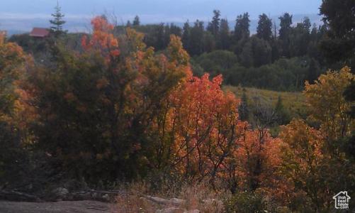 1 N 1 E J27, Fairview, Utah 84629, USA