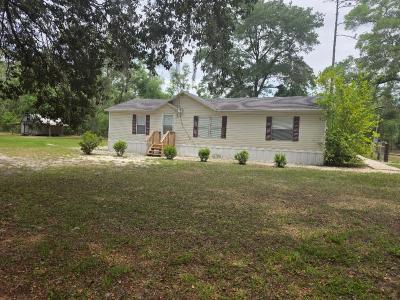 39 NE 339th Avenue, Old Town, 佛罗里达州 32680, 美国