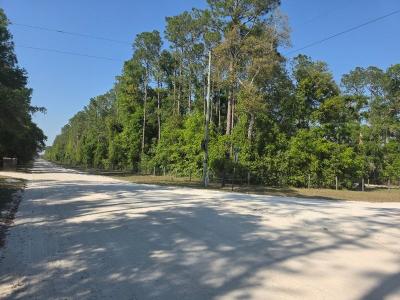 39 NE 339th Avenue, Old Town, Florida 32680