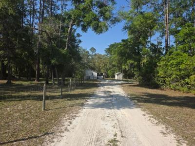 39 NE 339th Avenue, Old Town, Florida 32680