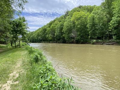 1581 River Front Drive, Jefferson, Caroline Du Nord 28640, États-Unis