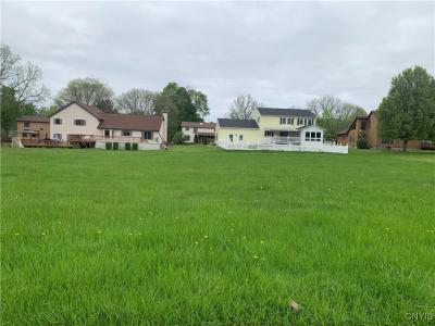 19 Mark Fitzgibbons Drive, Oswego, 纽约州 13126, 美国