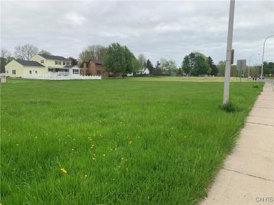 19 Mark Fitzgibbons Drive, Oswego, 纽约州 13126, 美国