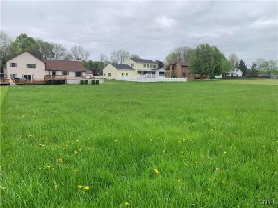 17 Mark Fitzgibbons Drive, Oswego, 纽约州 13126, 美国