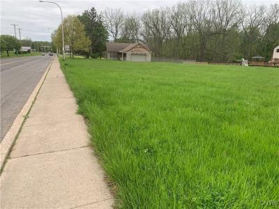 17 Mark Fitzgibbons Drive, Oswego, 纽约州 13126, 美国