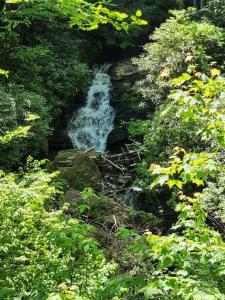 449 Boone Top None, Zirconia, NC 28790, USA