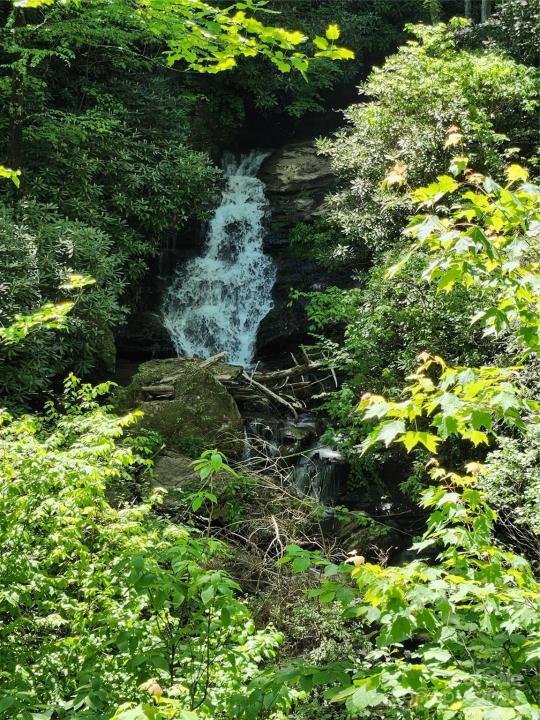 449 Boone Top None, Zirconia, North Carolina 28790