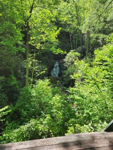 449 Boone Top None, Zirconia, North Carolina 28790