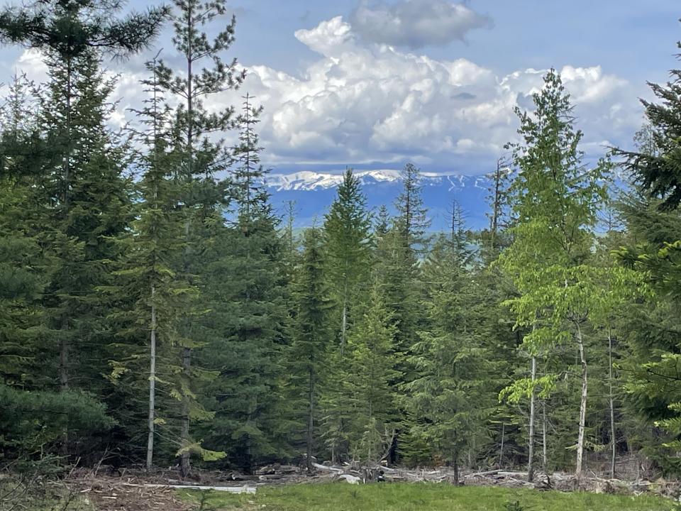 Lot 5 Rising Hawk Ridge, Sandpoint, 爱达荷州 83864, 美国