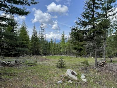 Lot 5 Rising Hawk Ridge, Sandpoint, 爱达荷州 83864, 美国