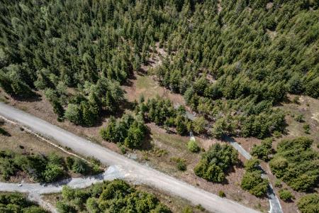 Lot 5 Rising Hawk Ridge, Sandpoint, 爱达荷州 83864, 美国