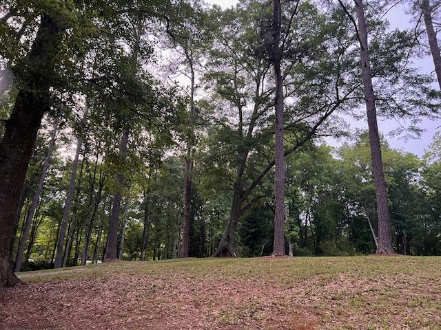 877 Bedwell Street , AL, Heflin, Alabama 36264, HOA KỲ