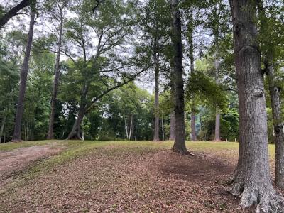 877 Bedwell Street , AL, Heflin, Alabama 36264, USA