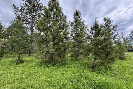 Lot 11 Hewitt Lane, Dover, Идаго 83825, Соединенные Штаты