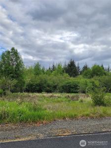 0 Henriot Road, Toledo, Washington 98591, USA