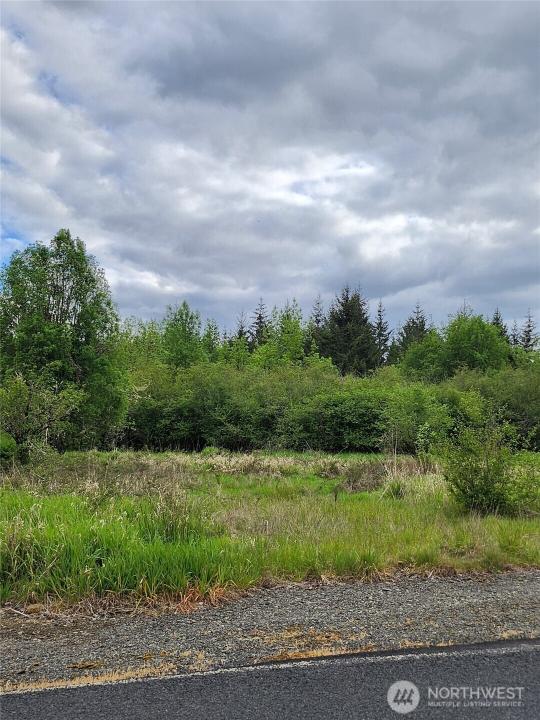 0 Henriot Road, Toledo, Washington 98591, Estados Unidos