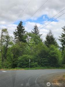 0 Henriot Road, Toledo, Washington 98591, Estados Unidos