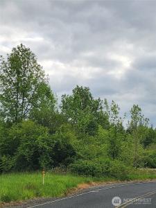 0 Henriot Road, Toledo, Washington 98591, Estados Unidos