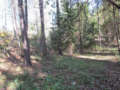 15699 Tyler Foote Road, Nevada City, California 95959, HOA KỲ
