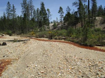 15699 Tyler Foote Road, Nevada City, 加州 95959, 美國