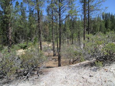 15699 Tyler Foote Road, Nevada City, California 95959, USA