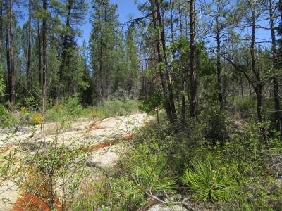 15699 Tyler Foote Road, Nevada City, 加州 95959, 美國