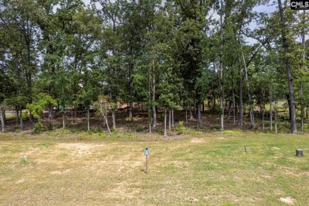 612 Misty Banks Drive, Chapin, Carolina Del Sur 29036, Estados Unidos