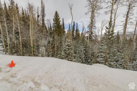 TAX ID TAX ID A 1165 0006 000, Brian Head, Utah 84719, USA